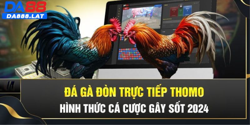 Những điểm nhấn vượt trội có tại trò chơi đá gà