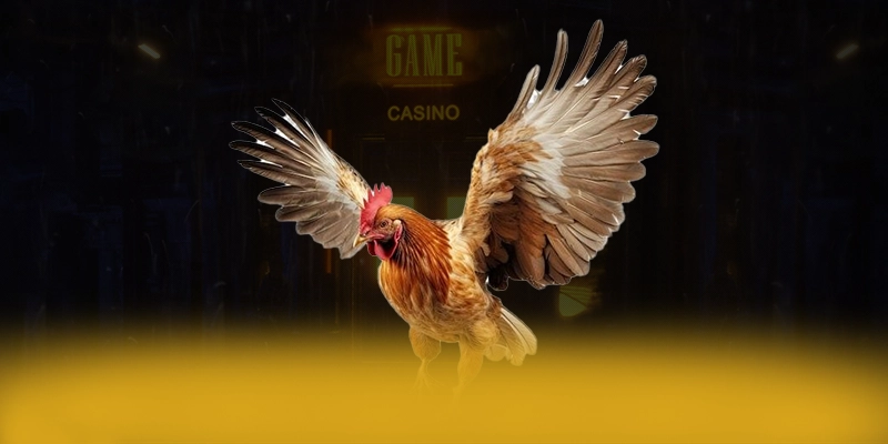 988bet - Thương hiệu hiện đại tại Việt Nam 988bet - Thương hiệu hiện đại tại Việt Nam