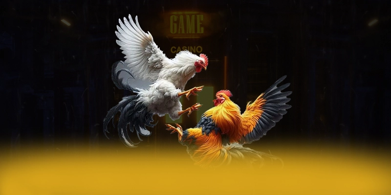 CONGA6789 - Nền tảng cá cược cung cấp hàng trăm tựa game đẳng cấp được game thủ lựa chọn – Khám phá ngay CONGA6789 CONGA6789 - Nền tảng cá cược cung cấp hàng trăm tựa game đẳng cấp được game thủ lựa chọn – Khám phá ngay CONGA6789