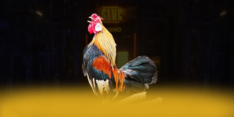 KUWIN - Cổng game với phần thưởng siêu lớn được cộng đồng game thủ yêu thích – Khám phá ưu đãi hot của KUWIN KUWIN - Cổng game với phần thưởng siêu lớn được cộng đồng game thủ yêu thích – Khám phá ưu đãi hot của KUWIN