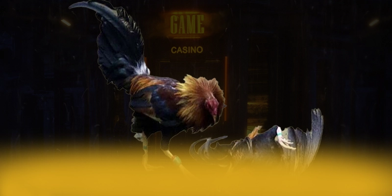 SA88 - Kết bài một cách tổng quan. SA88 - Kết bài một cách tổng quan.