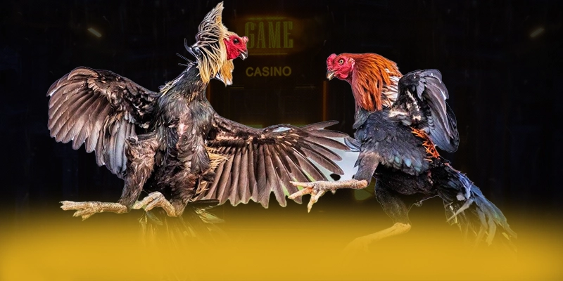 789P - Sảnh game có nhiều event hấp dẫn được yêu thích hàng đầu – Khám phá chương trình 789P