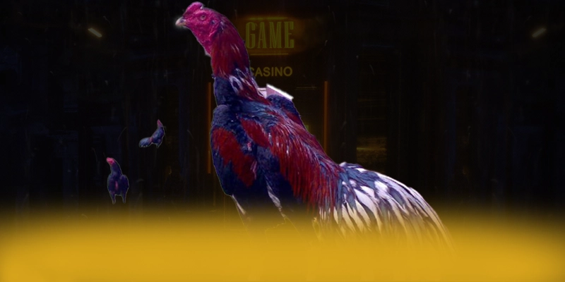 UU88 - Cổng cá cược với chính sách bảo mật hàng đầu được yêu thích hàng đầu – Cập nhật thông tin về UU88