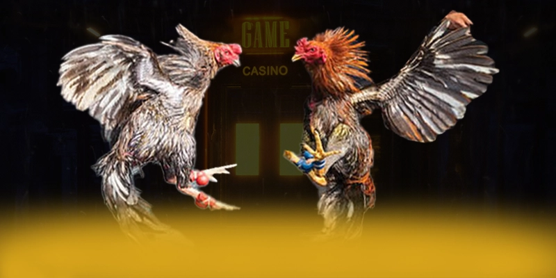 tài xỉu online – Nhà cái được nhiều người chơi lựa chọn, được cộng đồng đánh giá tích cực. tài xỉu online – Nhà cái được nhiều người chơi lựa chọn, được cộng đồng đánh giá tích cực.