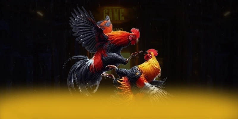 Khám phá ngay FAFA191 - Sảnh game được nhiều người chơi lựa chọn tại Việt Nam
Khám phá ngay FAFA191 - Sảnh game được nhiều người chơi lựa chọn tại Việt Nam