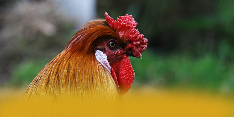 Khám phá SUNWIN - Sân chơi chất lượng tại Việt Nam
Khám phá SUNWIN - Sân chơi chất lượng tại Việt Nam