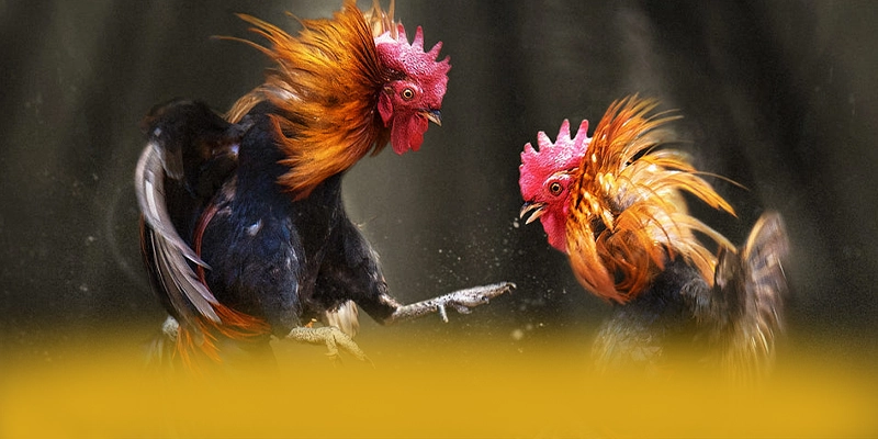 FAFA191 - Cổng giải trí ưu đãi khủng tại Việt Nam – Săn quà và khuyến mãi hot từ FAFA191 FAFA191 - Cổng giải trí ưu đãi khủng tại Việt Nam – Săn quà và khuyến mãi hot từ FAFA191