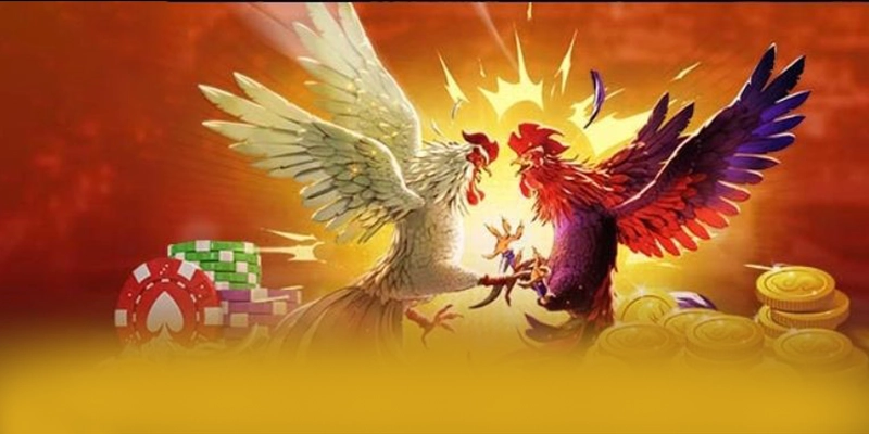 Khám phá ngay CONGA6789 - Cổng game bài được nhiều người chơi lựa chọn số 1 Việt Nam
Khám phá ngay CONGA6789 - Cổng game bài được nhiều người chơi lựa chọn số 1 Việt Nam