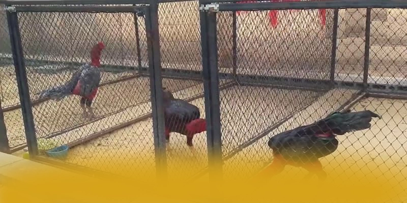 WIN79 - Thương hiệu game trực tuyến đang làm mưa làm gió được game thủ lựa chọn – Khám phá những game hot đến từ WIN79 WIN79 - Thương hiệu game trực tuyến đang làm mưa làm gió được game thủ lựa chọn – Khám phá những game hot đến từ WIN79