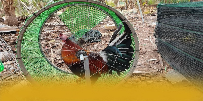 DAGA88 – Cổng giải trí an toàn tuyệt đối, được giới cược thủ đánh giá cao.